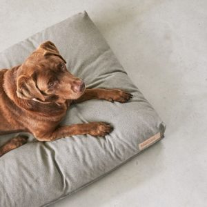 Panier pour chien design éco-responsable – MARE