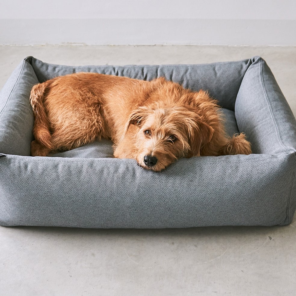 panier mare miacara chien design