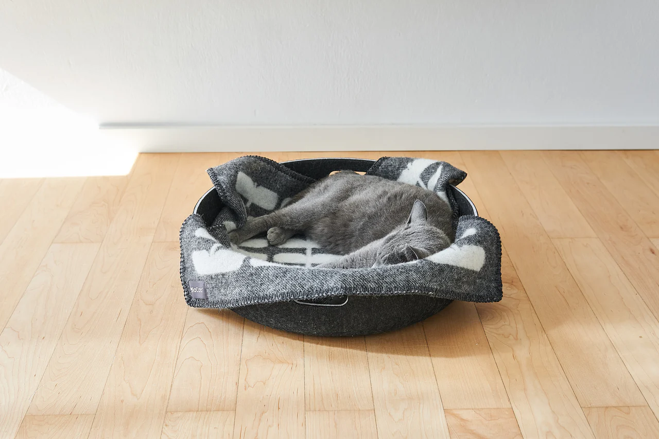 Panier pour chat design - CESTO