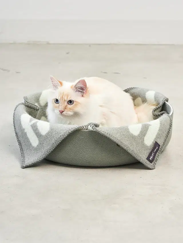 Panier pour chat design - CESTO