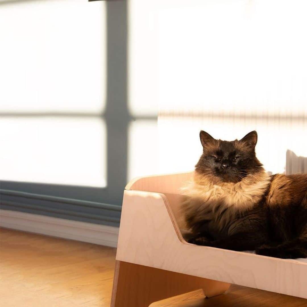 MIKASTE PANIER MIKS MIKASTE PANIER MIKS