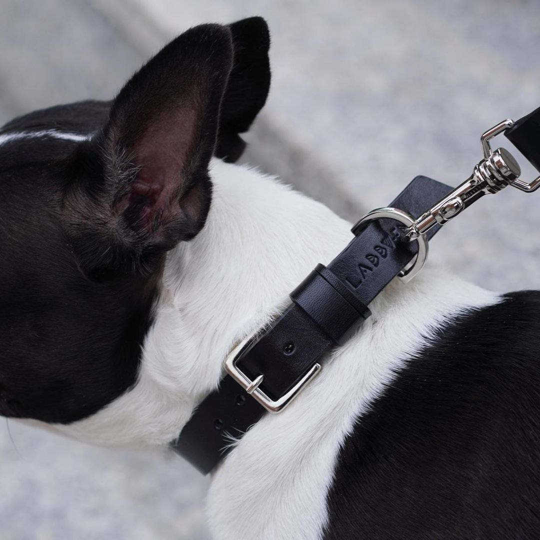 LABBVENN COLLIER LAISSE KOLLU