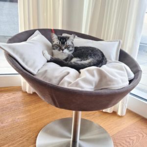 Lit design pour chat – COSMO CUIR