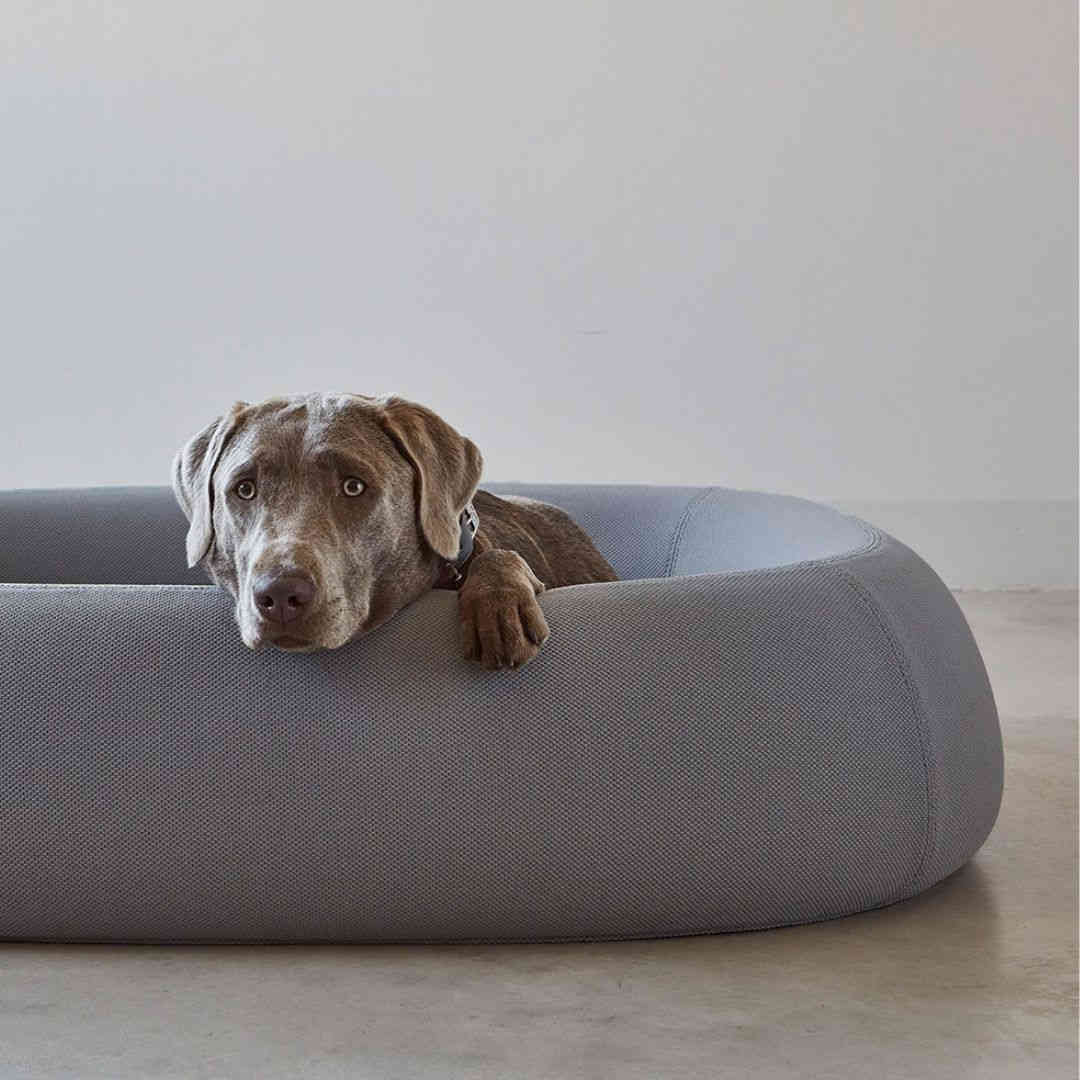 LIT CHIEN OVALE GRIS MIACARA BARCA