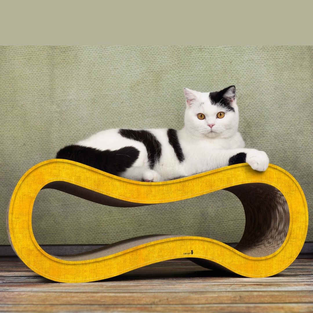 GRIFFOIR CARTON JAUNE GRIFFOIR CARTON JAUNE