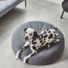 COUSSIN POUF DESIGN ROND POUR CHIEN