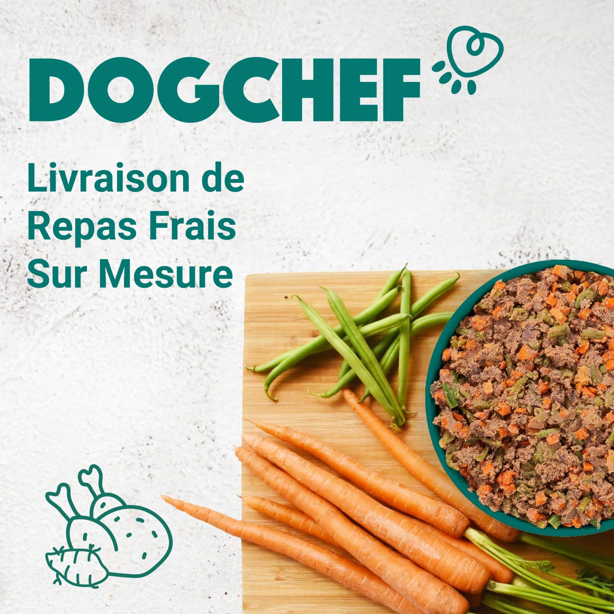 Dog chef France Une nouvelle manière de nourrir votre chien