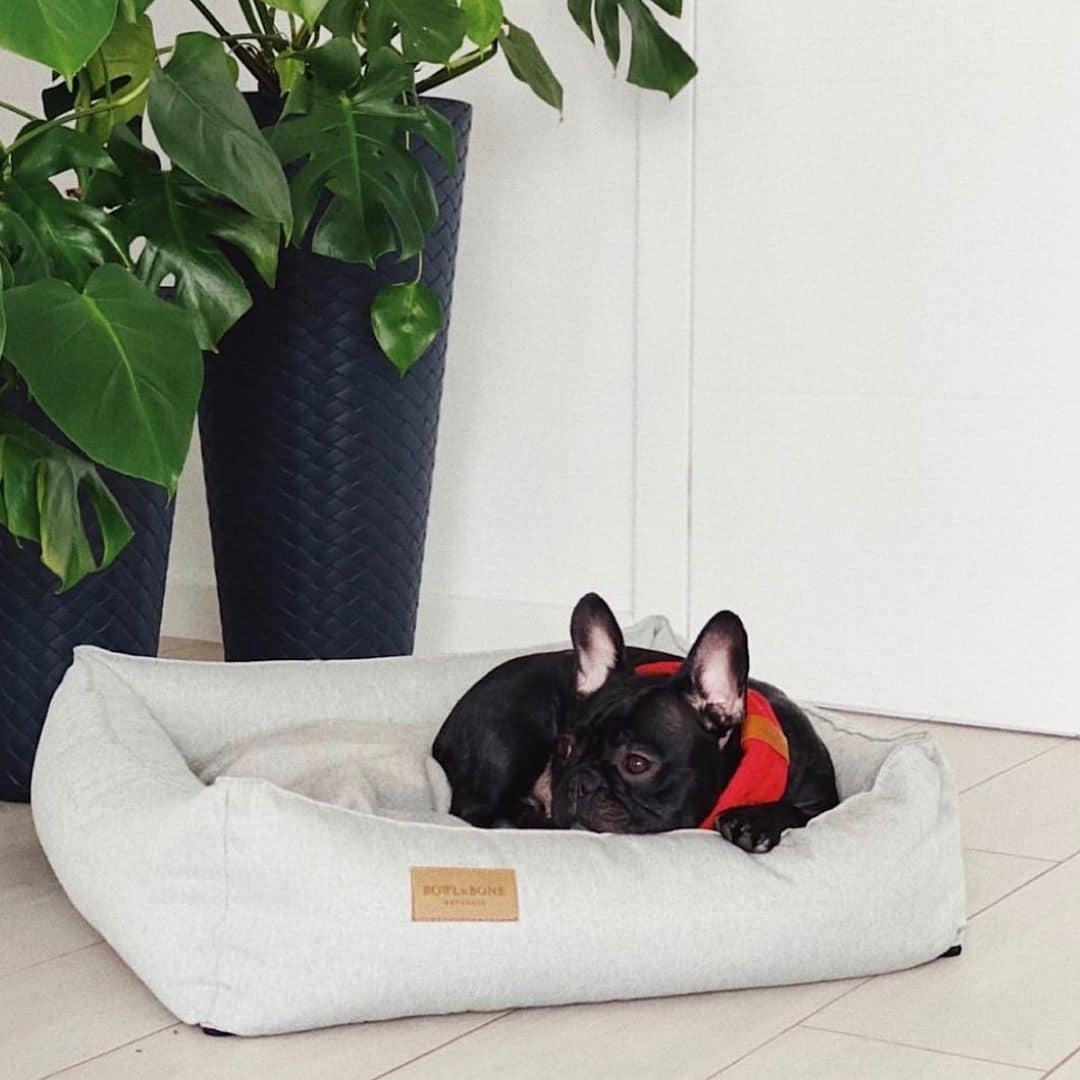 LIT DESIGN POUR CHIEN CARRE LIT DESIGN POUR CHIEN CARRE