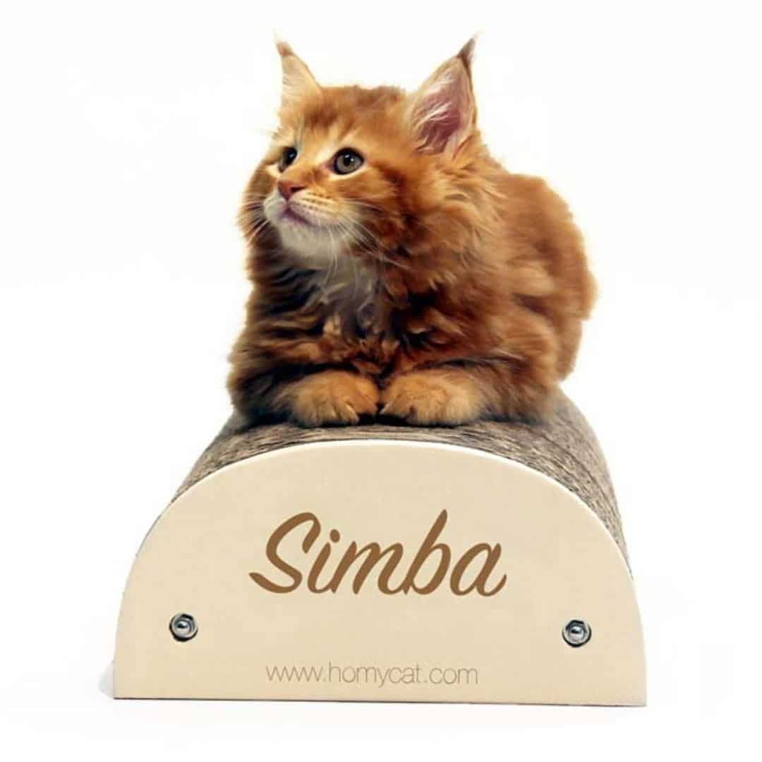 griffoir carton recyclé personnalisable griffoir carton recyclé personnalisable