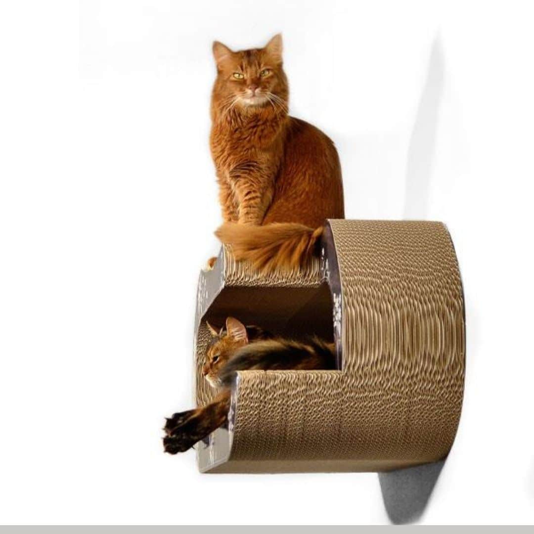 griffoir mural grand chat carton