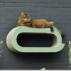 griffoir mural grand chat carton vert