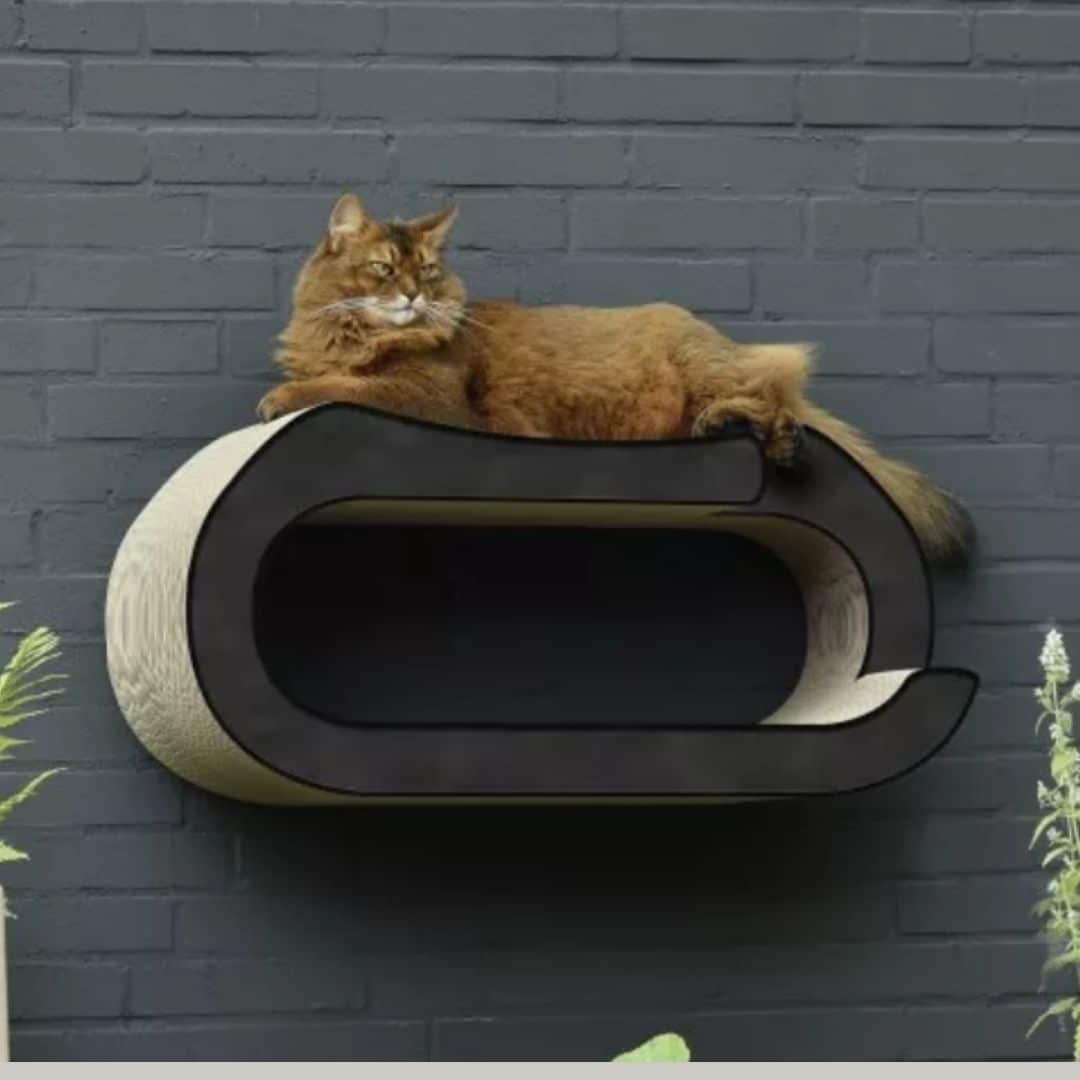 griffoir mural grand chat carton noir