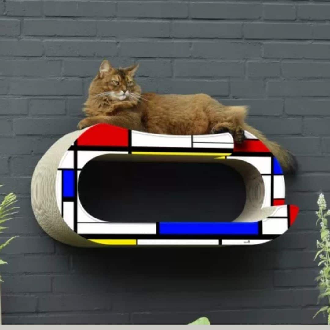 griffoir mural grand chat carton