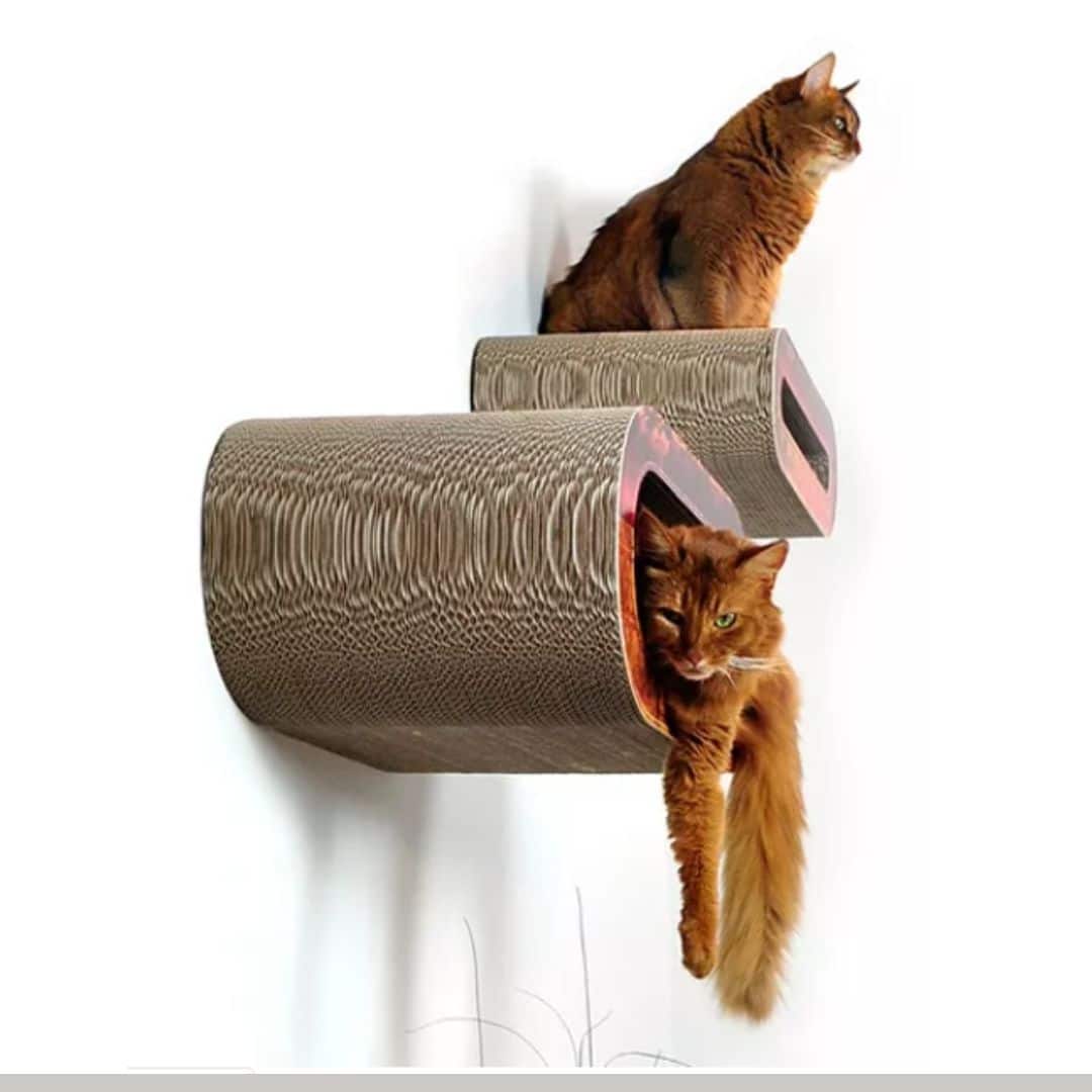 griffoir perchoir arbre a chat carton griffoir perchoir arbre a chat carton