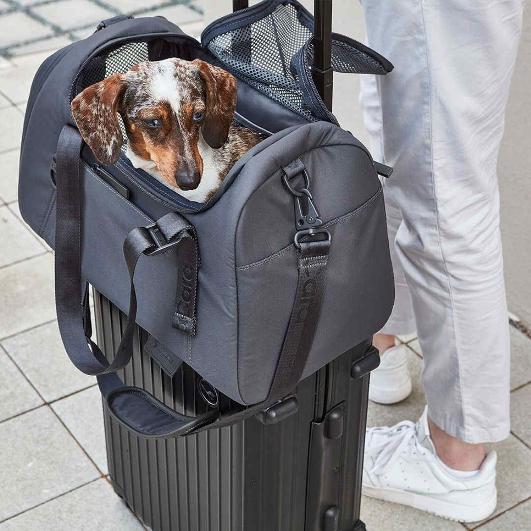 sac transport chien chat avion train voiture volata sac transport chien chat avion train voiture volata