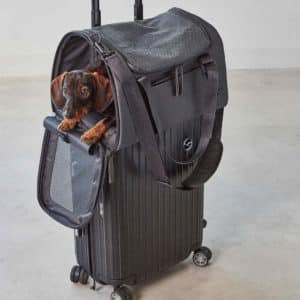 Sac de transport pour chien – VOLATA  Airline