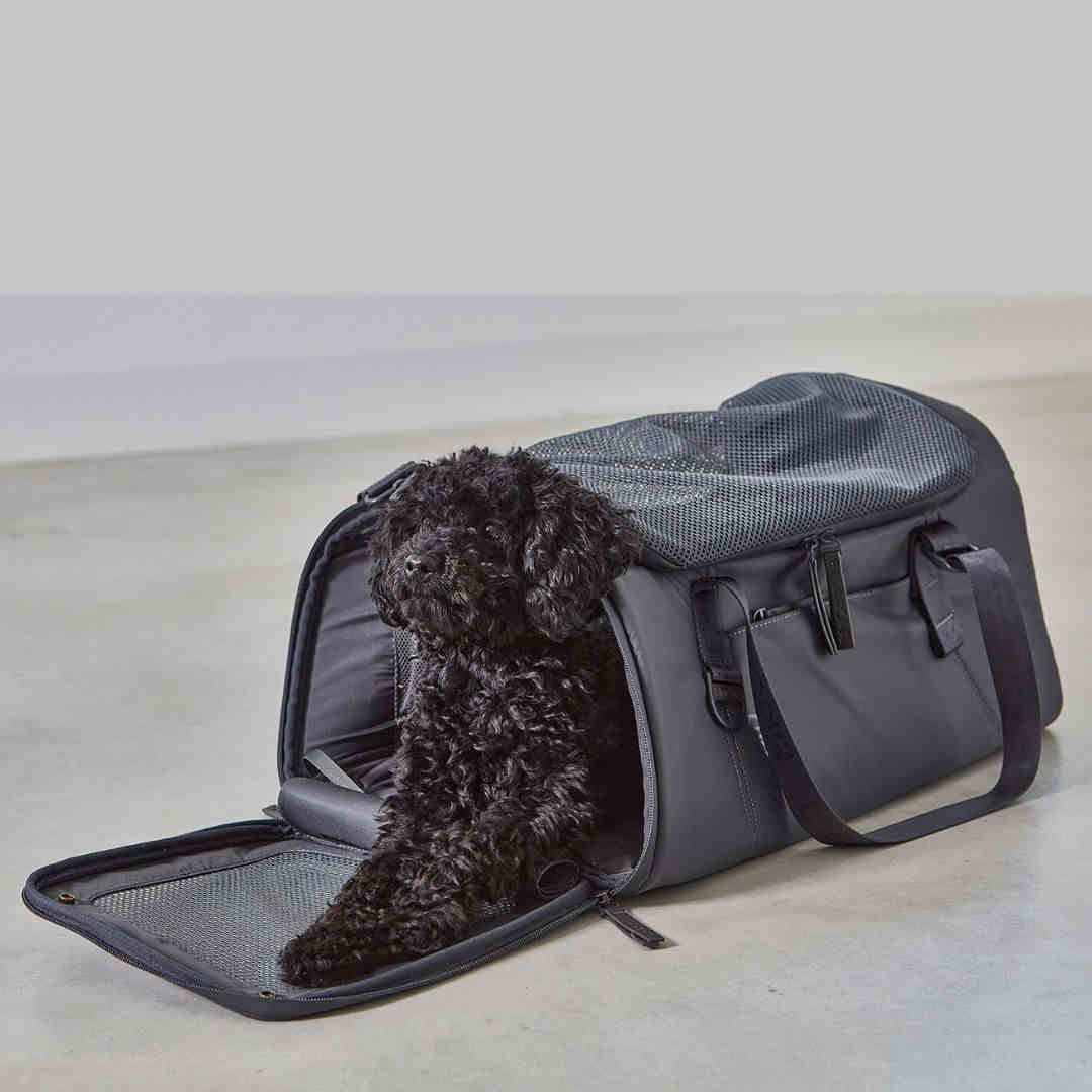 sac transport chien chat avion train voiture volata sac transport chien chat avion train voiture volata