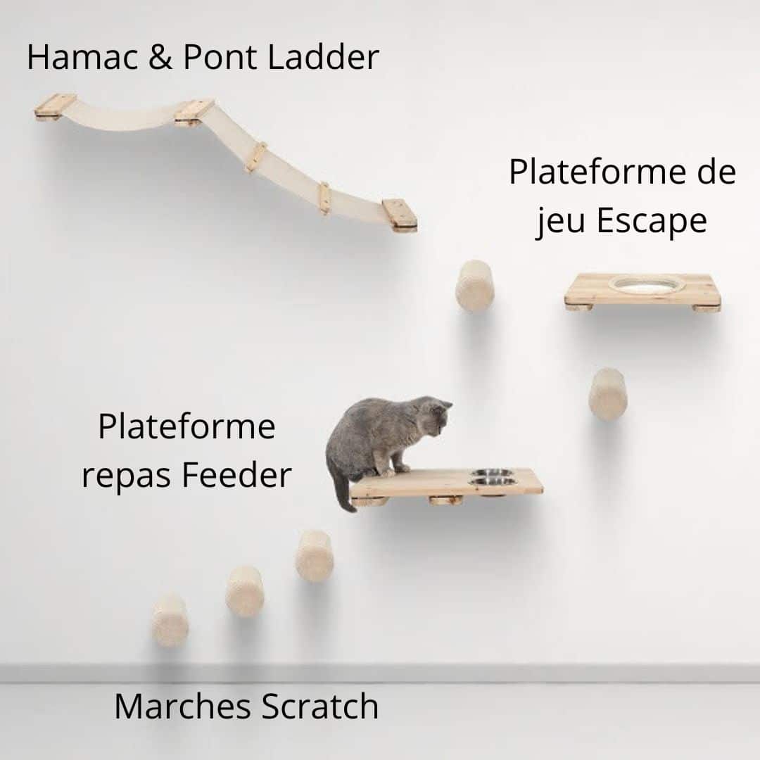 Copie de Publication Instagram France sport boxe bleu, blanc, rouge (36)