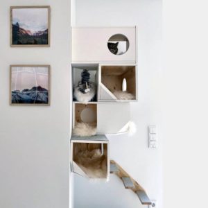 Arbre à chat 4 étages – CATISSA