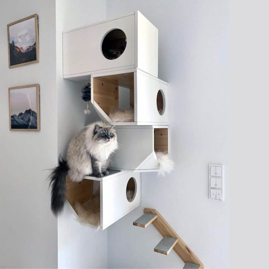 Arbre à chat design 4 étages griffoir - CATISSA
