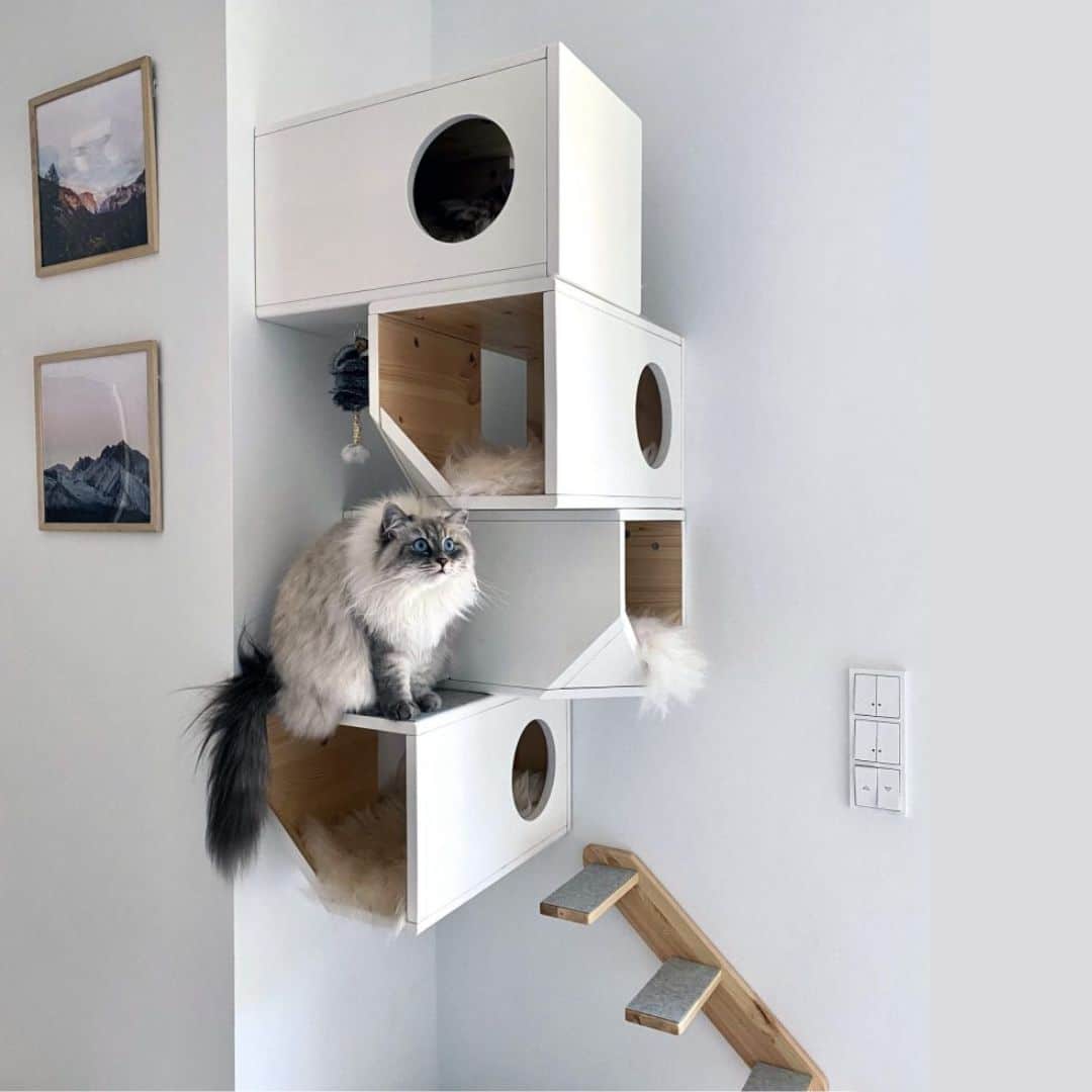 Arbre à chat design 4 étages griffoir - CATISSA Arbre à chat design 4 étages griffoir - CATISSA