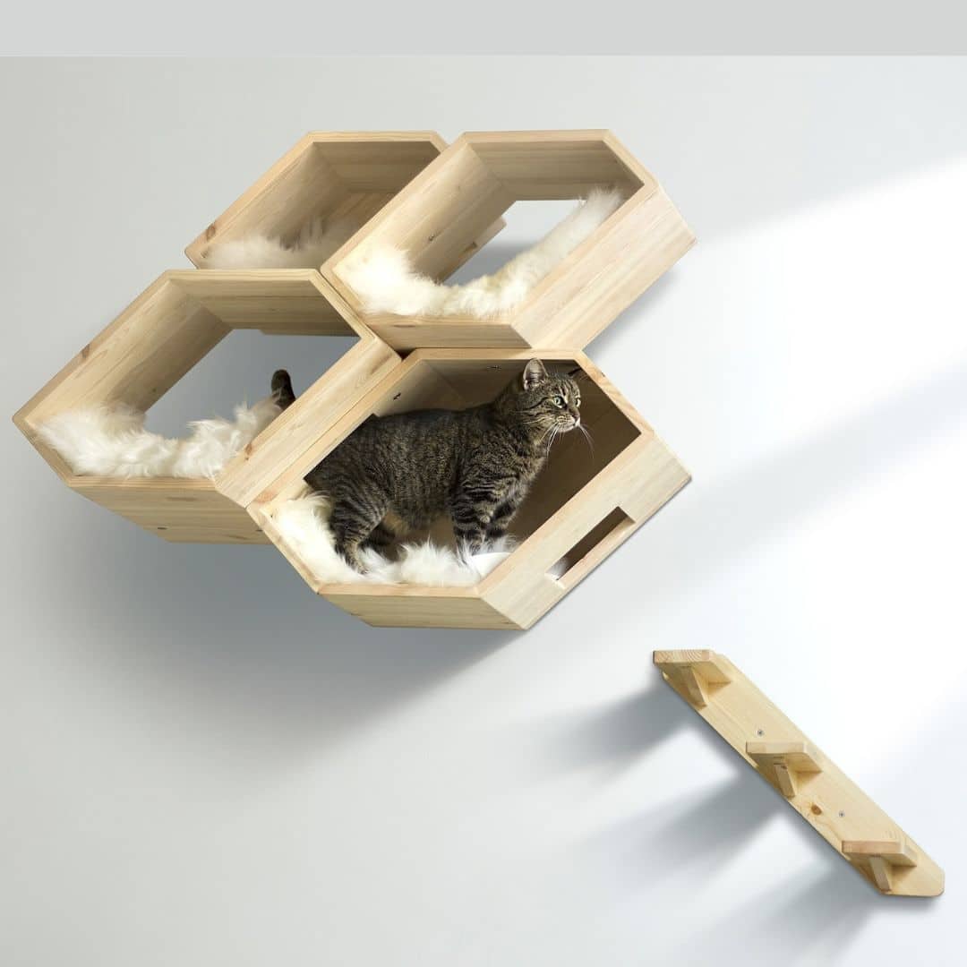 arbre a chat bois mural arbre a chat bois mural