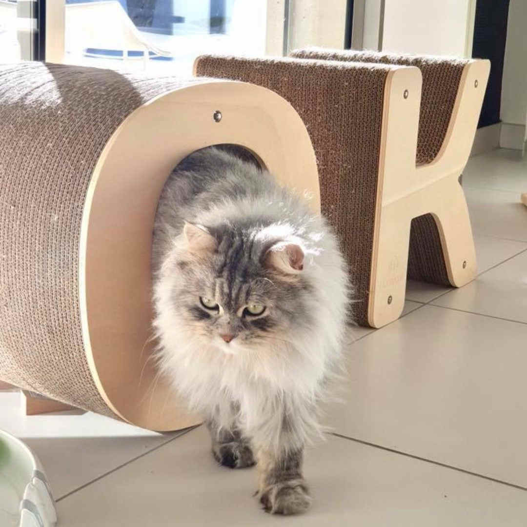 GRIFFOIR DESIGN LETTRES SYMBOLES HOMYCAT CARTON RECHARGEABLE GRIFFOIR DESIGN LETTRES SYMBOLES HOMYCAT CARTON RECHARGEABLE