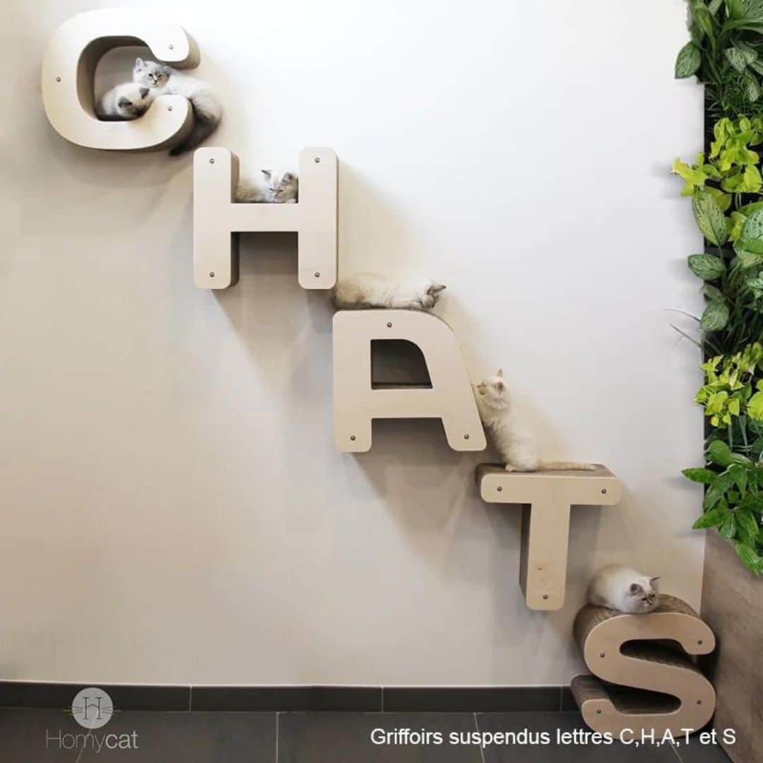 GRIFFOIR DESIGN LETTRES SYMBOLES HOMYCAT CARTON RECHARGEABLE GRIFFOIR DESIGN LETTRES SYMBOLES HOMYCAT CARTON RECHARGEABLE