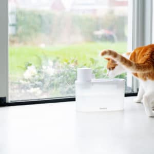 Fontaine d’eau design pour chat – AGUA SMART