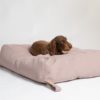 YOUSUF COUSSIN DESIGN CHIEN ROSE