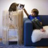 lit pour chat design à 3 niveaux
