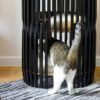 lit pour chat design à 3 niveaux