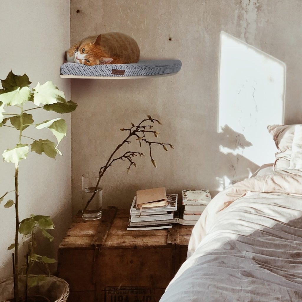 CHILL CORNER