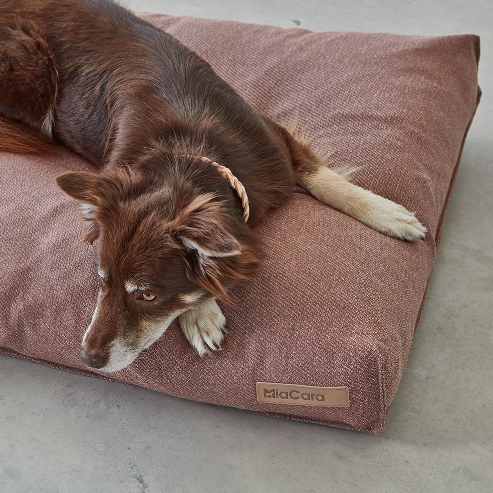 LUCE LUCE COUSSIN DESIGN