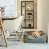 unica couverture pour chien et chat
