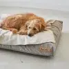 unica couverture pour chien et chat