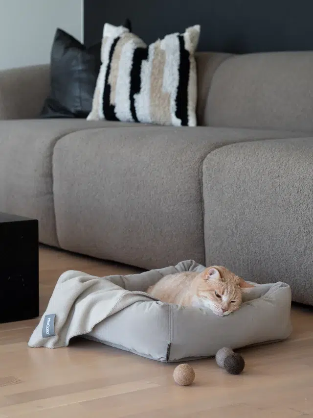 unica couverture pour chien et chat