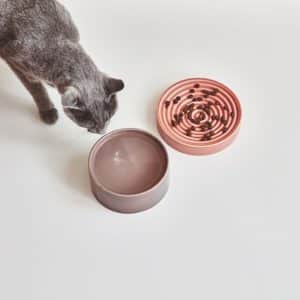 Gamelle en porcelaine design pour chat – FRESCO