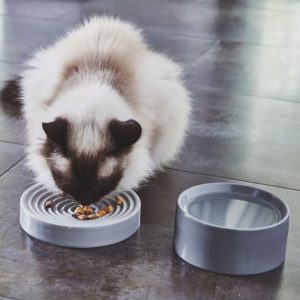 Gamelle en porcelaine design pour chat – PIATTO