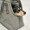 sporta sac design pour chien