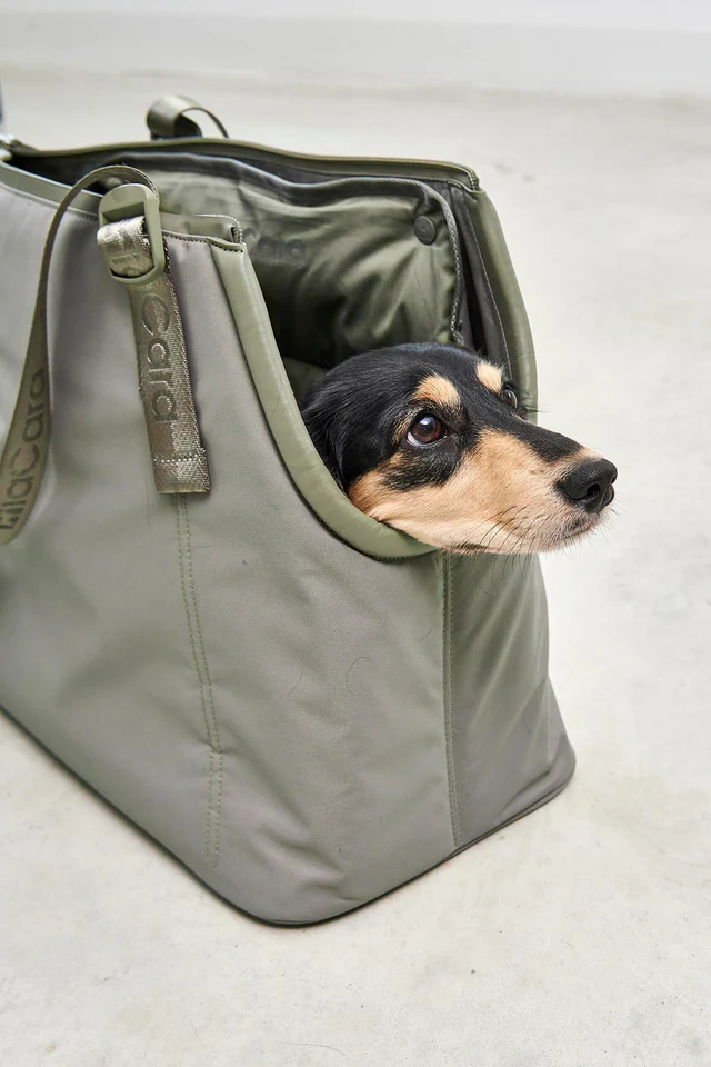 sporta sac design pour chien