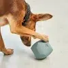 Jouet design pour chien- DADO