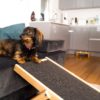 rampe pour chien design skipper