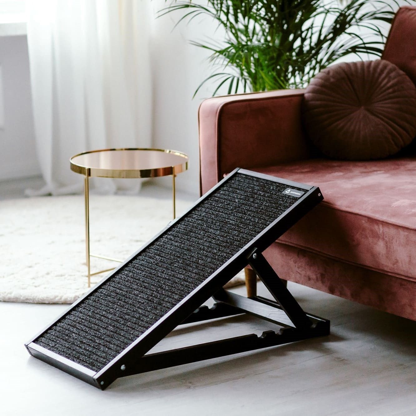 rampe animood bois skipper chien rampe animood bois skipper chien