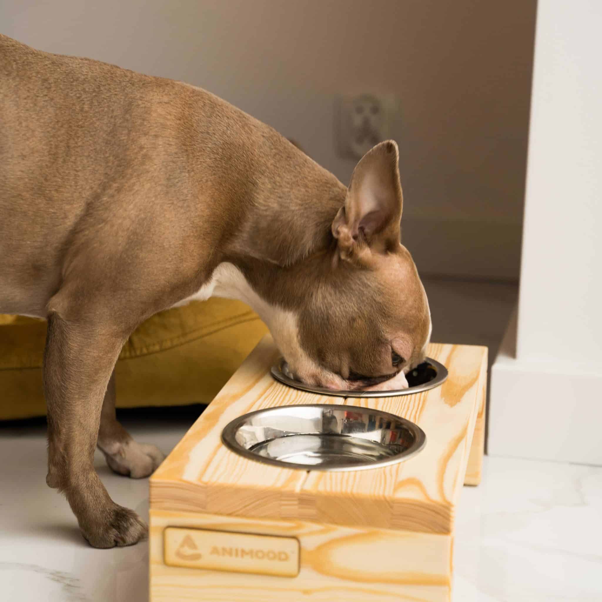 STAND GAMELLE DESIGN BOIS GLORIA STAND GAMELLE DESIGN BOIS GLORIA