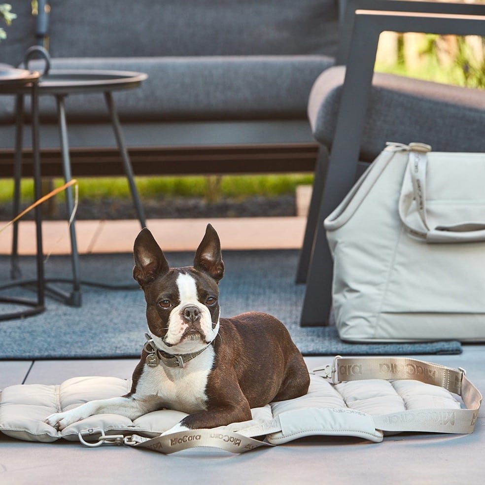 strada design tapis de transport pour chiens à emmener partout avec vous