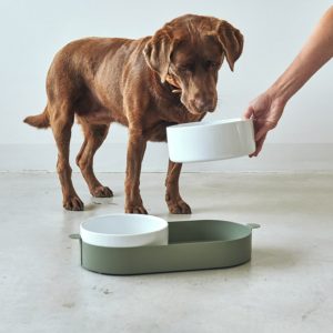 Set de deux bols design pour chien – TAVOLETTA