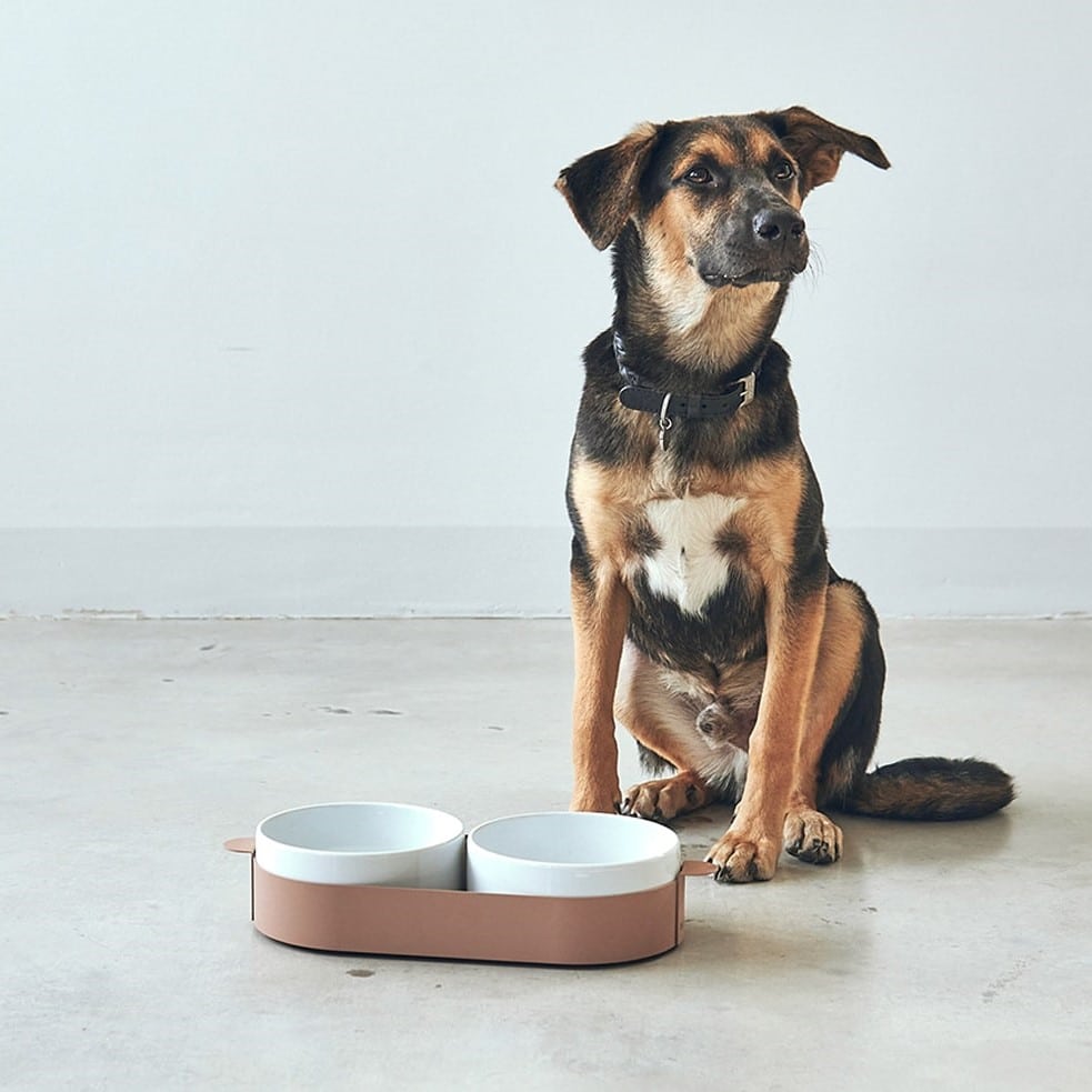 tavoletta set bol gamelle design tavoletta set bol gamelle design