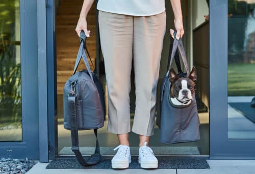sac de transport design chien vacanza