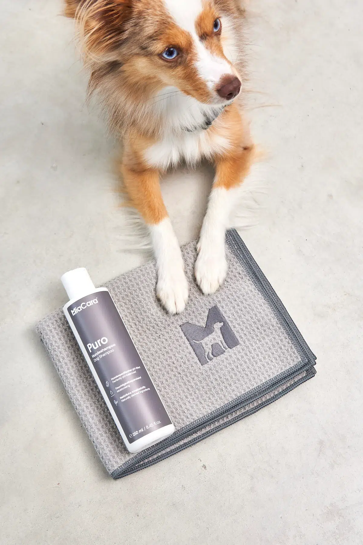 Serviette pour chien et chat - PANNO